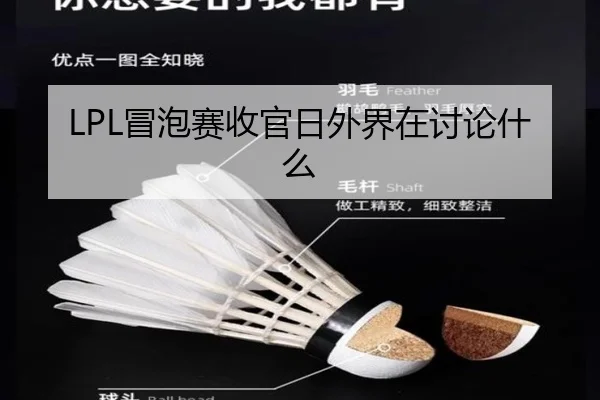 LPL冒泡赛收官日外界在讨论什么